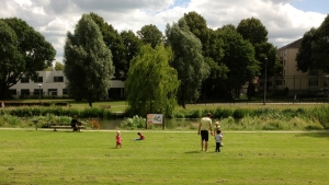 Krommerijnpark recreanten 2014                          